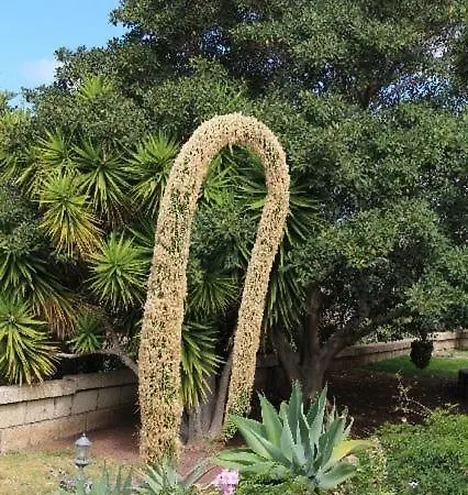 Charmantes In Mit Garten Σπίτι διακοπών Guía de Isora